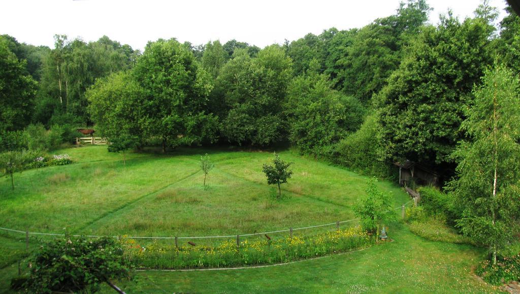 Vakantieverblijf Volmolen B&B มาเซค ภายนอก รูปภาพ