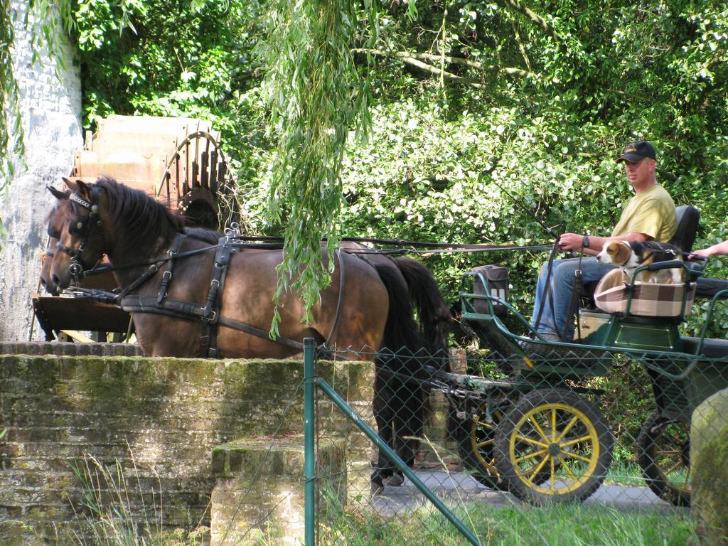 Vakantieverblijf Volmolen B&B มาเซค ภายนอก รูปภาพ