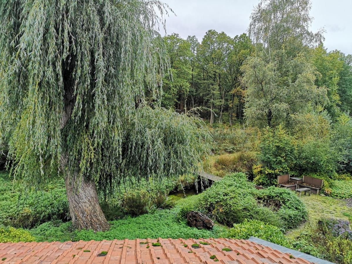 Vakantieverblijf Volmolen B&B มาเซค ภายนอก รูปภาพ